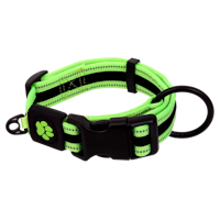 Ошейники, поводки и шлейки