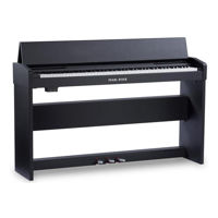 Цифровое пианино Pearl River F13 BK