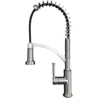 Смеситель кухонный SanDonna MONA Satin