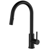 Смеситель кухонный SanDonna Смеситель Amelia, черный (VOR82164)