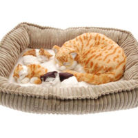 Игрушка Perfect Petzzz 92-17 Jucărie interactivă Pisica cu trei pisicuțe