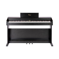 Цифровое пианино Flame B97 BK
