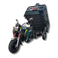 Triciclu cu remorcă pe benzină Tiger 250 cc