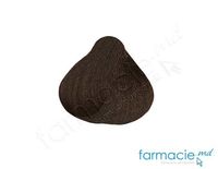 Vopsea par 3Chenes Marron Cacao (6B)