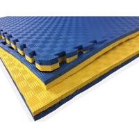 Спортивное оборудование sport 255-2 Asternut de protectie moale, puzzle mat, 104 x 3 x 104 cm