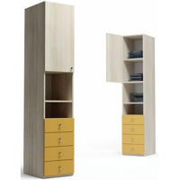 Шкаф Indart DULAP CU VITRINA 09 (45x55x225)