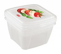 Container BYTPLAST 4311134 Fresco (set 2buc/0.5 L+1L)