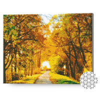 Картина по номерам Art Gallery GA75061 Mozaic cu diamante 40x50cm Drumul printre copaci