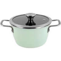 Кастрюля Delimano Nordic Mint Pot+Lid 24cm (110085707)