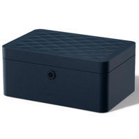 Мебельный сейф Deli DLAE205-BL, 150х330х220мм, синий (для ювелирных изделий)