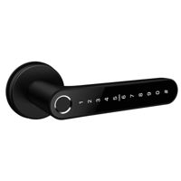 Умный дверной замок TTLock N31 Black без замка