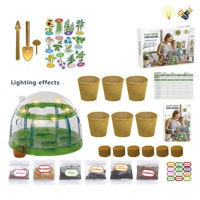 Набор для творчества ToyMall 004229 Home Florarim