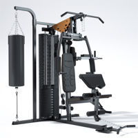 Aparat multifunctional (max. 120 kg) inSPORTline ProfiGym C60 25936 (10550)