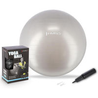 Мяч HMS 4823 Minge gimnastica d=65cm cu pompa Gray YB01 (17-42-161)