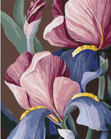 Картина по номерам BrushMe BS53760 40x50 сm (în cutie) Biluhina