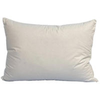 Домашний текстиль PernaMD 10058 Perna din puf 40x60 Lux VA