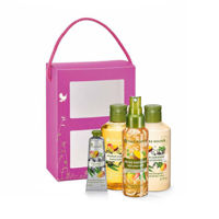 LES PLAISIRS NATURE - Set îngrijirea corpului Mango & Coriandru