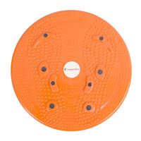 Disc plastic "Sanatate" d=25 cm (max. 100 kg) inSPORTline Magnetic 483 (11537)