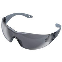 Средства индивидуальной защиты Wolfcraft Профессиональные защитные очки с тонированными дужками 4905000