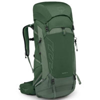 Туристический рюкзак Osprey Talon 44 green canopy/pine leaf