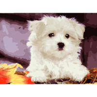 Картина по номерам Richi 01914 Catelus 30x40