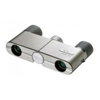 Бинокль Nikon 4x10DCF Silver