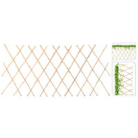 Подставка для цветов ProGarden 44481 Опора для вьющихся растений складная 180x70cm, бамбук