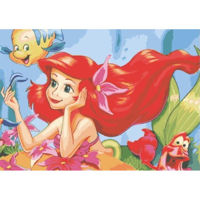 Картина по номерам Richi 02362 Ariel 30x40
