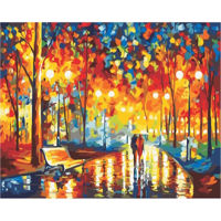 Tablou pe numere Richi (07749) 40x50