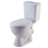 Унитаз miscellaneous ROSA Lira 45