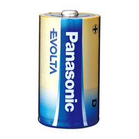 D size  Panasonic  "EVOLTA" 1.5V, Alkaline, Blister*2, LR20EGE/2BP