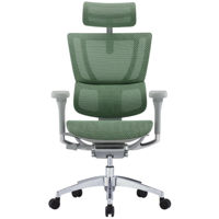 Офисное кресло ART Mirus IOO Elite 2 Green T-168-B6 IOOE2-AG-HAM-5D-L