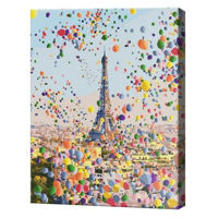 Tablou pe numere Art Gallery GX42715 Baloane la Paris 40x50cm Eco