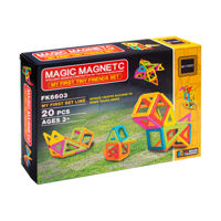 Constructor magnetic (20 buc.) 502022 (7685)