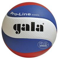 Мяч волейбольный Gala Pro-Line FIVB 5591 (2017)