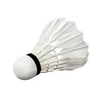 Fluturas badminton pana Abisal 505-03 (349)