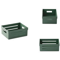 Cutie depozitare Snips 56403 Cutie organizator 2l 20x15x8.5cm, verde