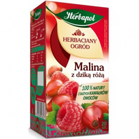 Чай фруктовый Tea Garden Raspberry with Rosehip, 20 шт