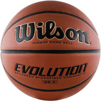 Мяч Wilson 4089 Баскетбольный мяч N6 EVOLUTION WTB0586XBEMEA