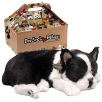 Игрушка Perfect Petzzz 91-35 Jucărie interactivă Terrier Boston