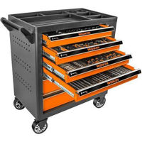 Sistem de depozitare a instrumentelor Wokin Dulap cu scule 179 piese 6 sertare (Industrial) (901510)