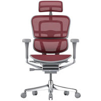 Офисное кресло ART Ergohuman Elite 2 Scarlet T-168-B3 EHE2-AG-HAM-5D-L