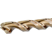 Набор головок, бит, насадок DeWalt DT4941 burghiu metal HSS-E cobalt Ø 9.5mm (P.10)