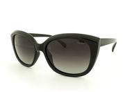 Polar Glare - PG 6655