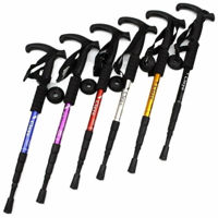 Треккинговые палки Arena 91053 фиолетов