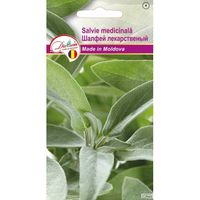 cumpără Seminte de Salvie medicinala 0.1 g (1209 99 990)  DS în Chișinău