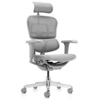 Офисное кресло ART Ergohuman Ultra Natural T-168-B2 EHU-AG-HAM-4D