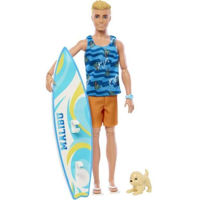 Кукла Mattel HPT50 Barbie Ken Fashionist