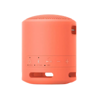 Portable Speaker SONY SRS-XB13, Pink EXTRA BASS™