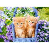 Головоломка Castorland Puzzle B-070169 Puzzle Midi 70